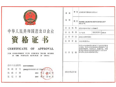 进出口权办理
